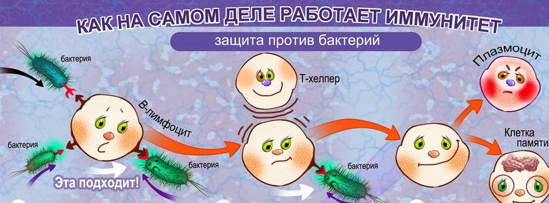 Снижение иммунитета рисунок