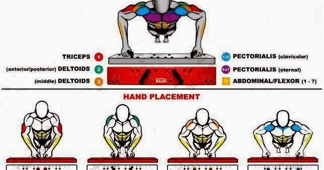 Отжимания на разные группы мышц картинки
