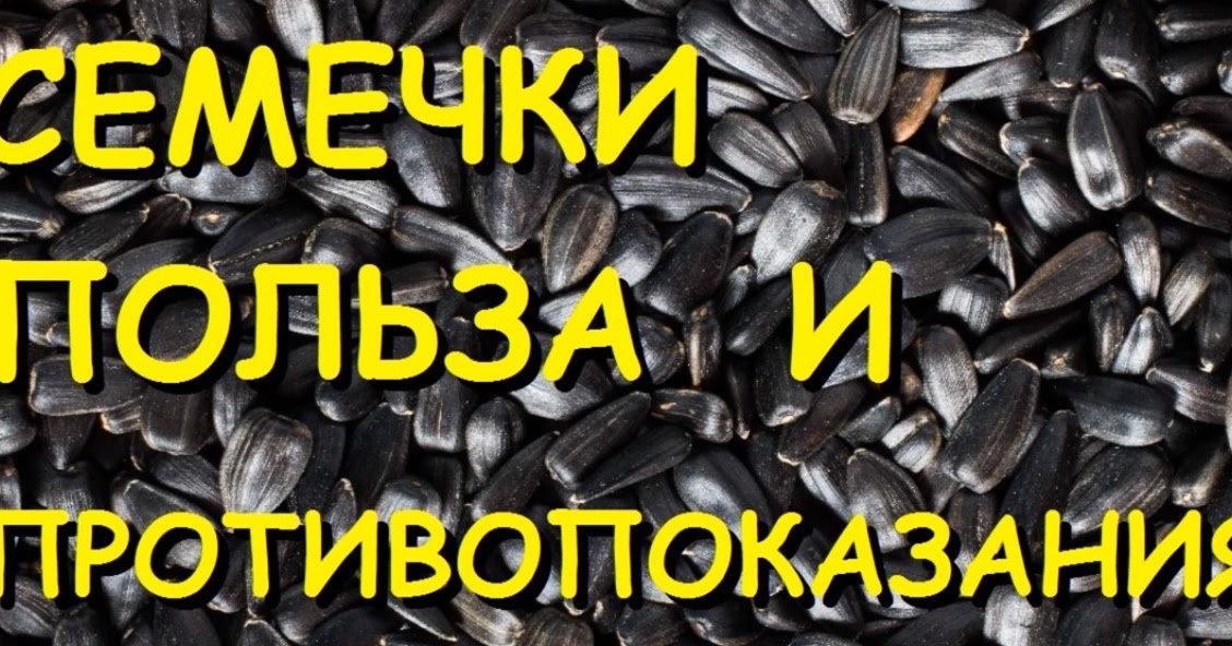 Семечки польза. Жареная семечка вред. Грызть семечки полезно или вредно. Смайлик семечки грызет. Почему грызть семечки вредно.