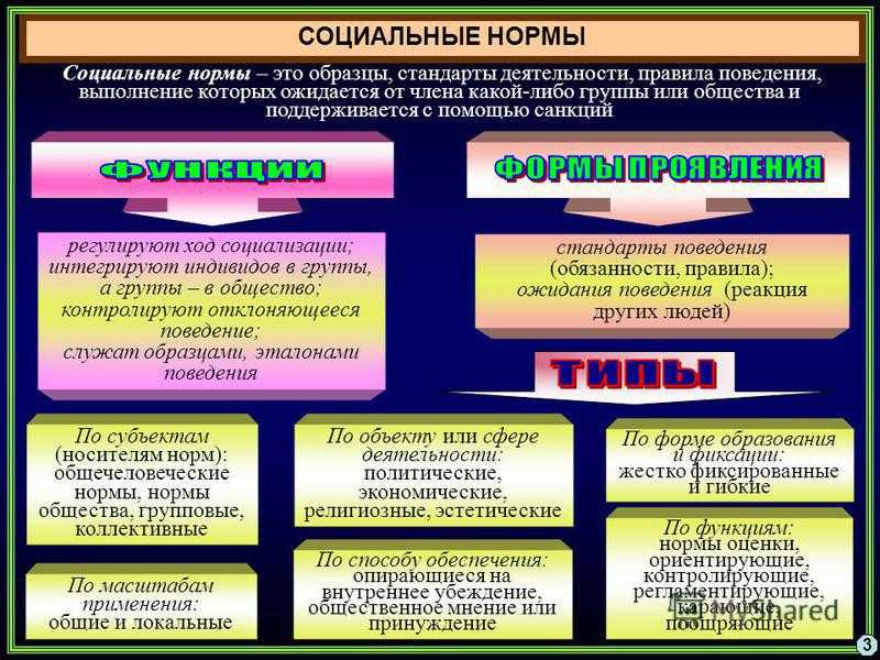 Правила поведения образцы стандарты деятельности выполнение которых связано с ожиданиями общества