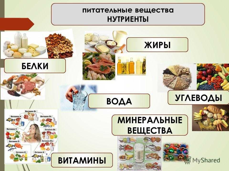 Картинки углеводы в продуктах питания