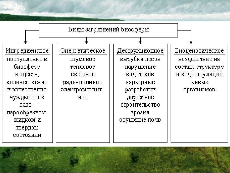 Факторы и формы воздействия общества на окружающую среду схема