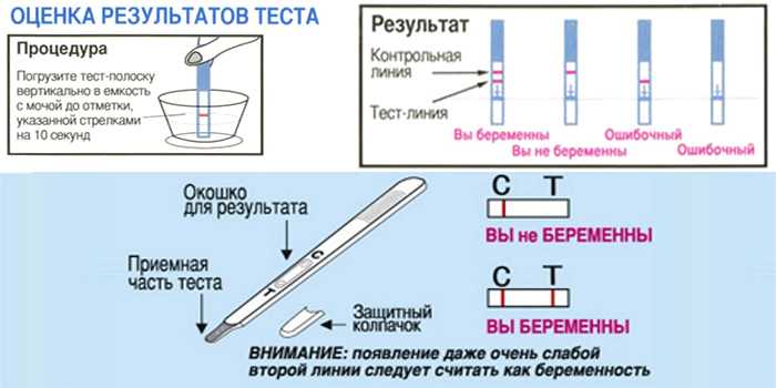 Как пользоваться тест на беременность картинки как