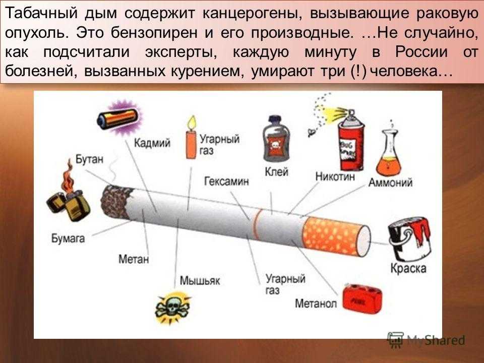 Влияние никотина на здоровье человека проект