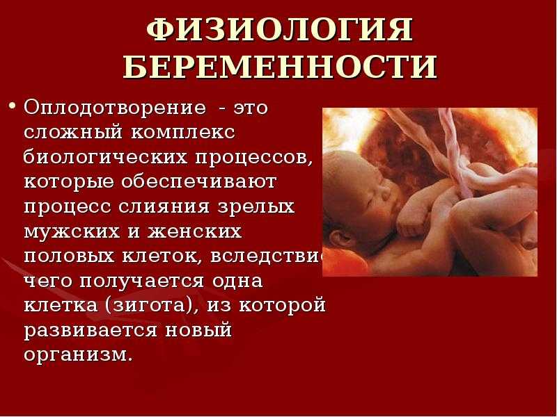 Организм в послеродовой период. Физиология родов и послеродового периода. Физиология беременности и родов послеродовой период.