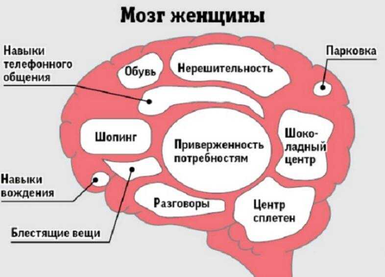 Мысли в голове женщины картинки