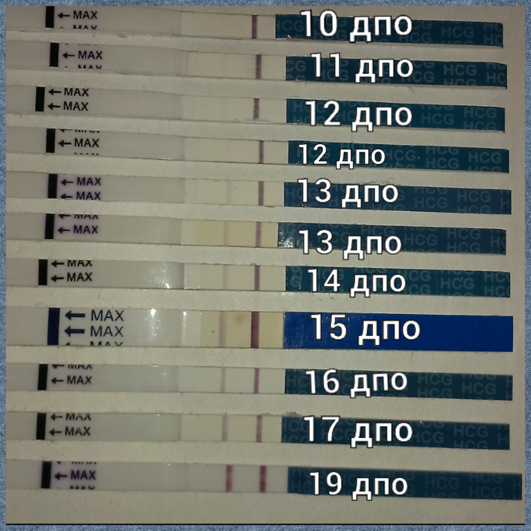 Покажет ли. Тест на беременность Evitest ХГЧ. Тест на беременность 12 ДПО эвитест. Эвитест динамика ХГЧ. Тест полоски по ДПО С 8 ДПО.