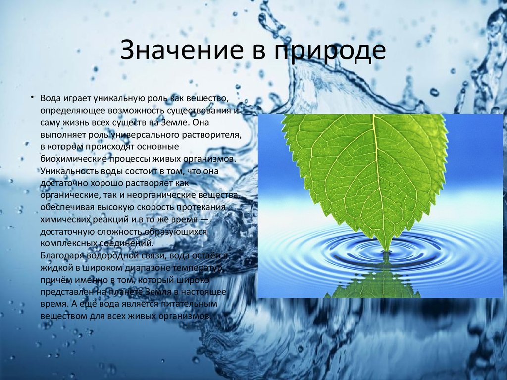 Проект вода и жизнь