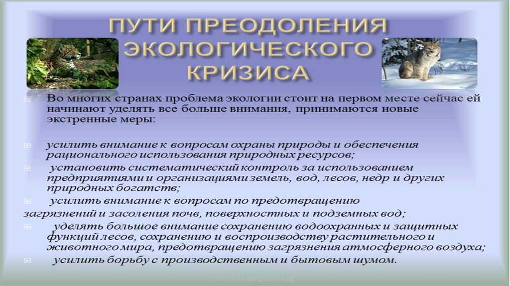 Экологические кризисы и экологические катастрофы проект