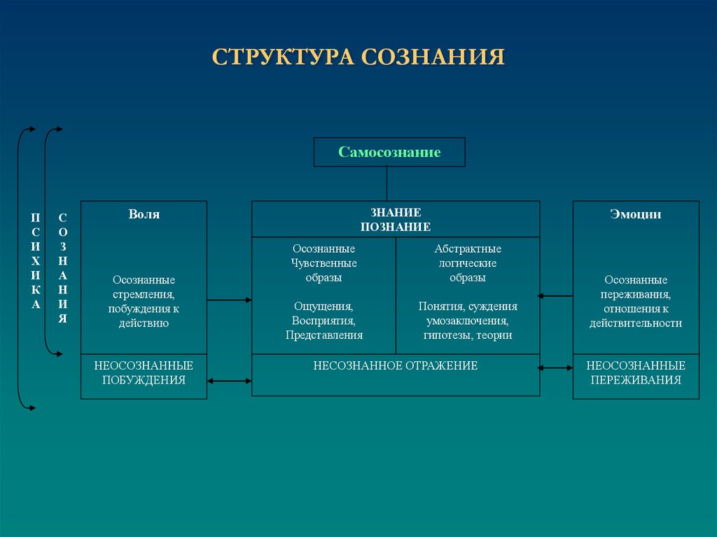 Характеристики сознания схема