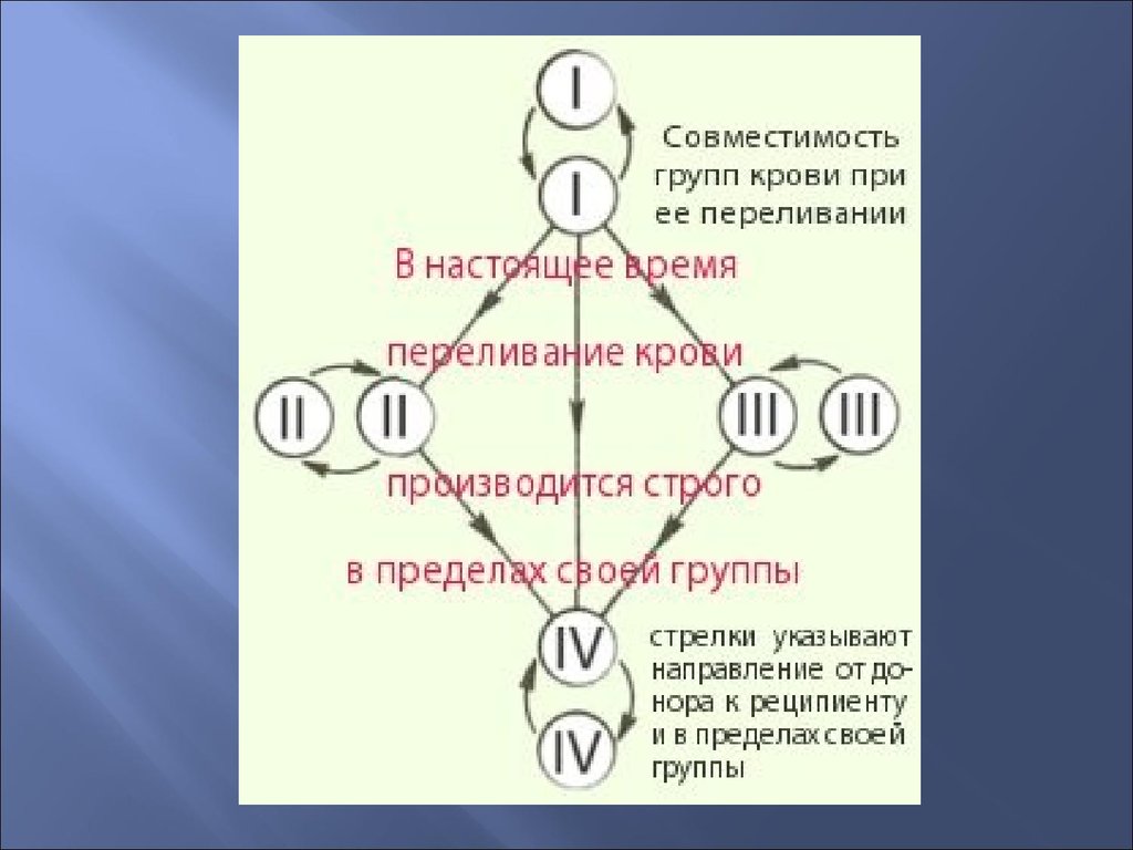 Составить схему переливания крови у вас 1 группа крови и вы донор