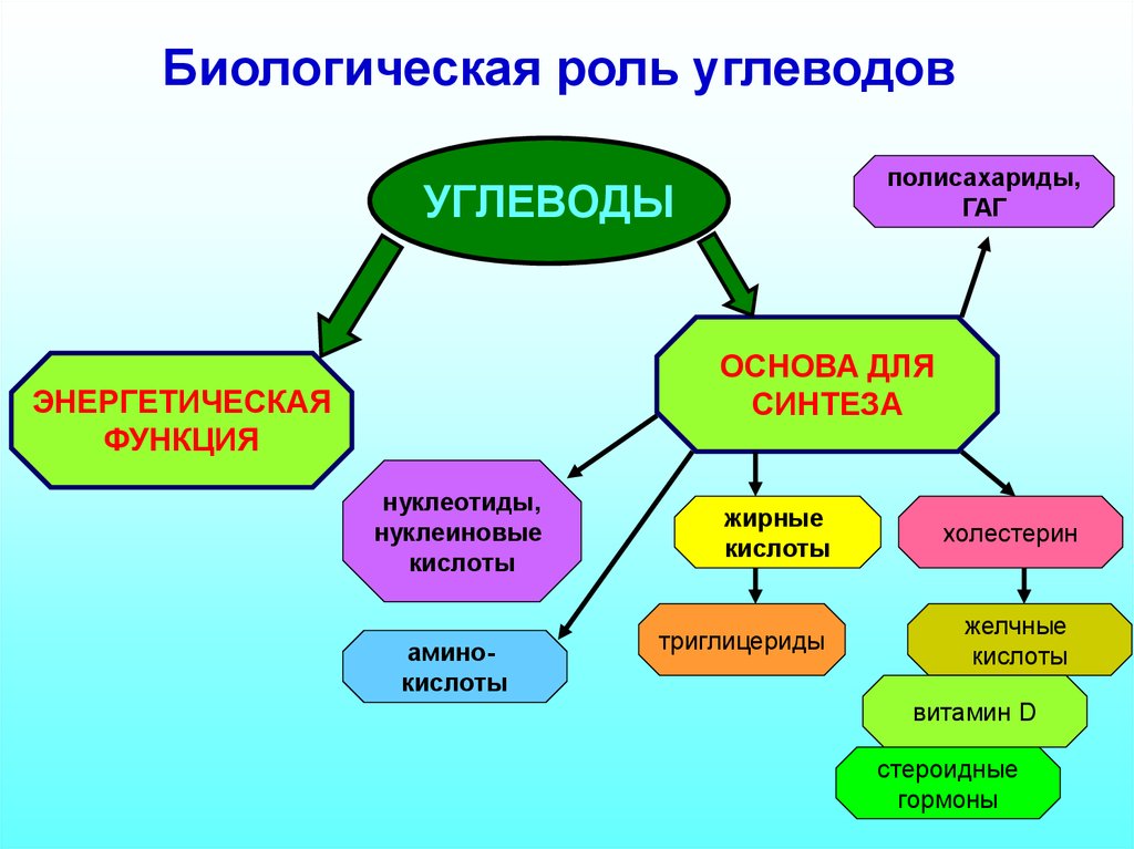 Значение углеводов в живой природе и жизни человека презентация