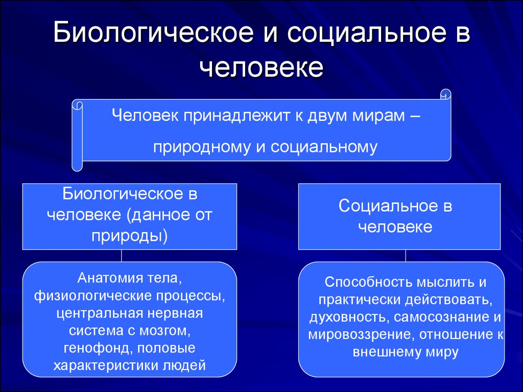 Школьник готовил презентацию по вопросу о соотношении биологического и социального начал в человеке