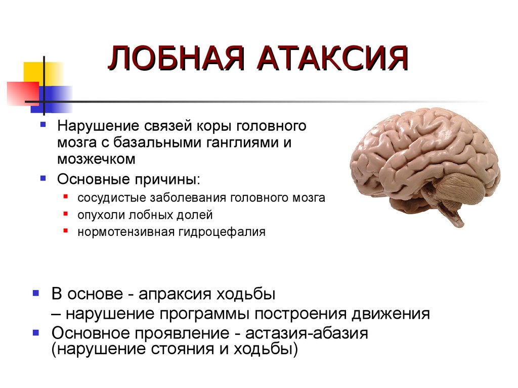 Восстановление коры головного мозга