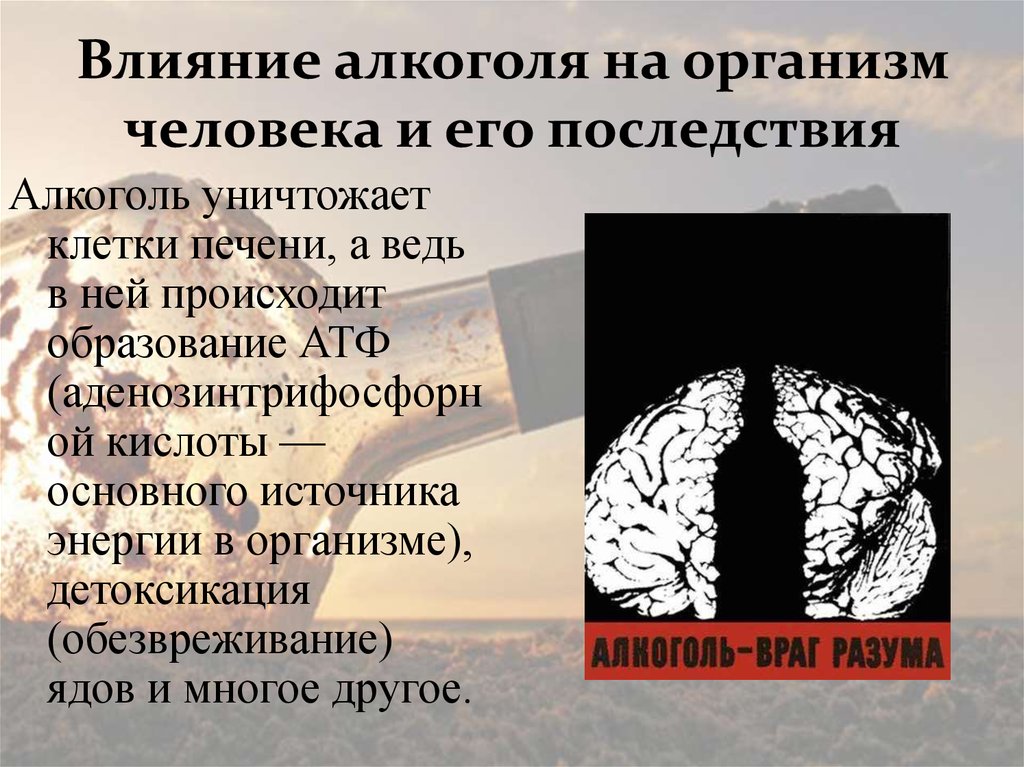 Презентация на тему влияние алкоголя на живой организм