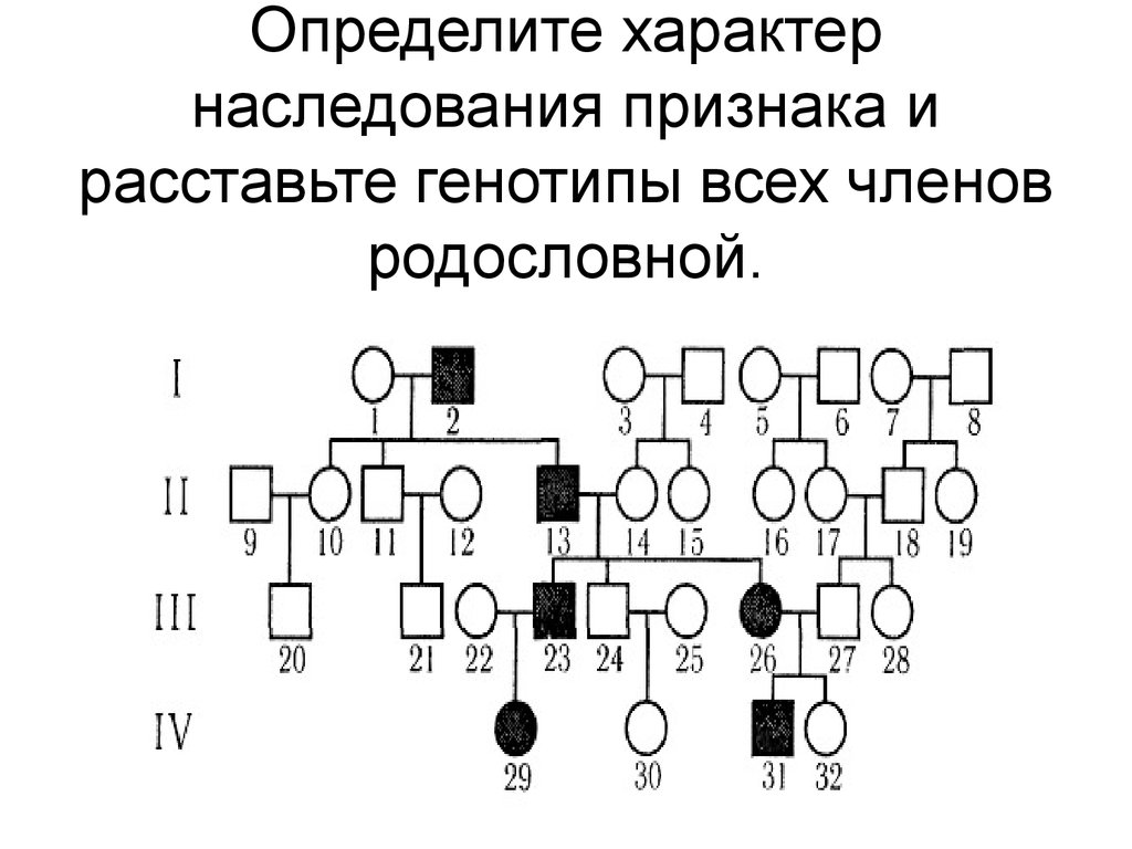 Наследование признаков в семье. Схема родословной Тип наследования генотип. Родословные генетика Тип наследования. Как определить Тип наследования по родословной схеме. По схеме родословной определите Тип наследования.