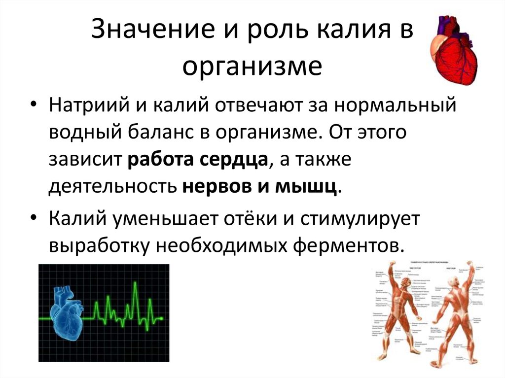 Участие калия в обмене веществ. Функции калия и натрия в организме. Роль калия в организме человека. Функции калия в организме человека. Значение калия в организме.