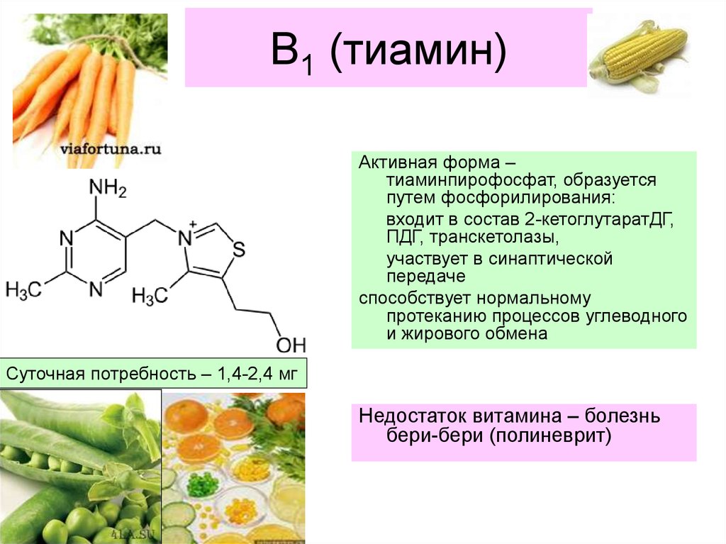 Формы витамина c. Тиамин в1 формула. B1 тиамин формула. Активная форма витамина в1. Жирорастворимая форма витамина в1.