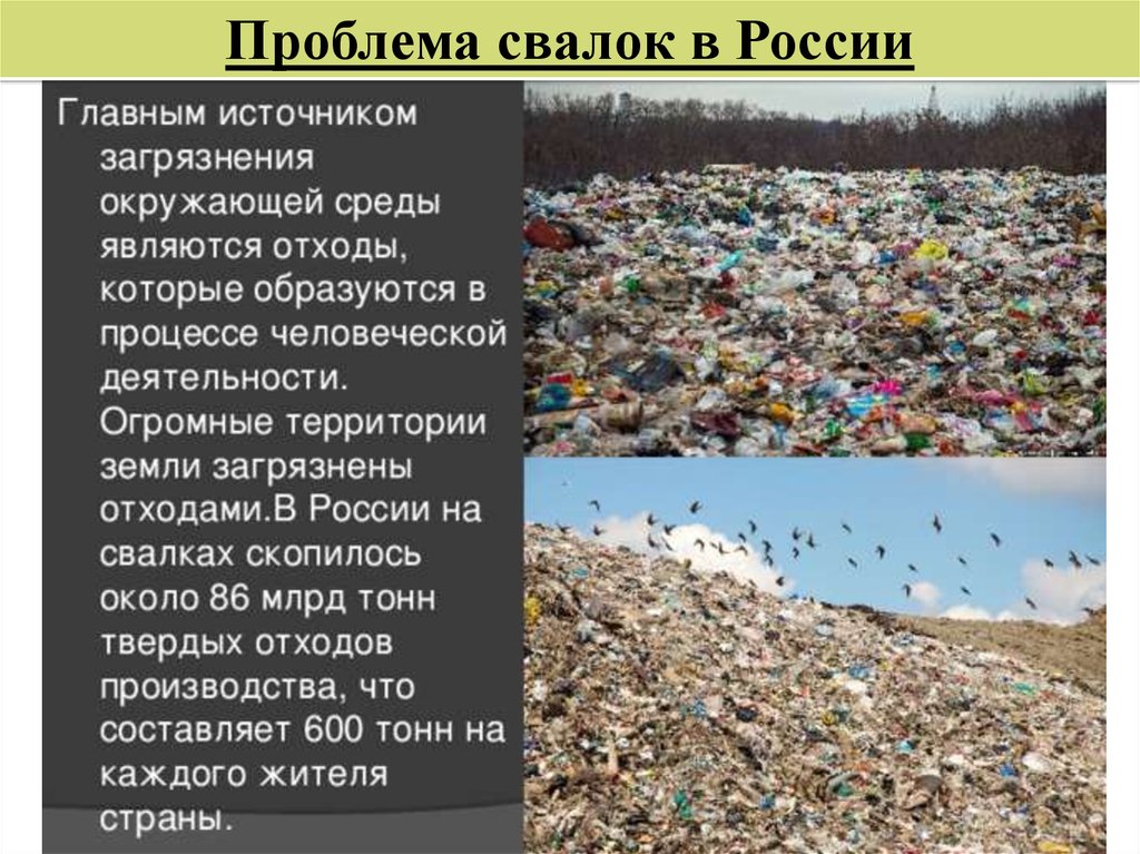 Биологические твердые отходы. Загрязнение отходов пути решения. Причины загрязнения природы. Воздействие свалок на окружающую среду. Загрязнение среды мусором.