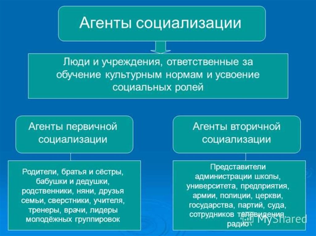 Составь в тетради схему агенты социализации указав какие агенты социализации относятся к первичным и