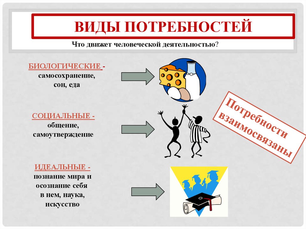 Обществознание в картинках 6 класс