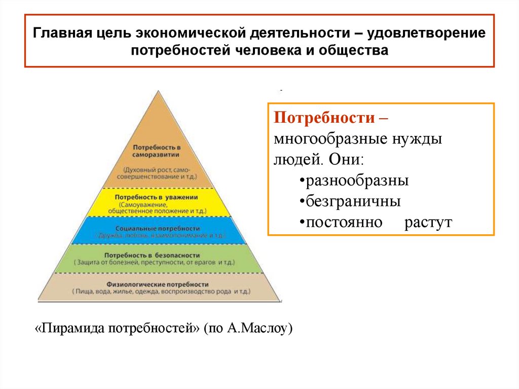 План на тему роль потребностей в деятельности человека план