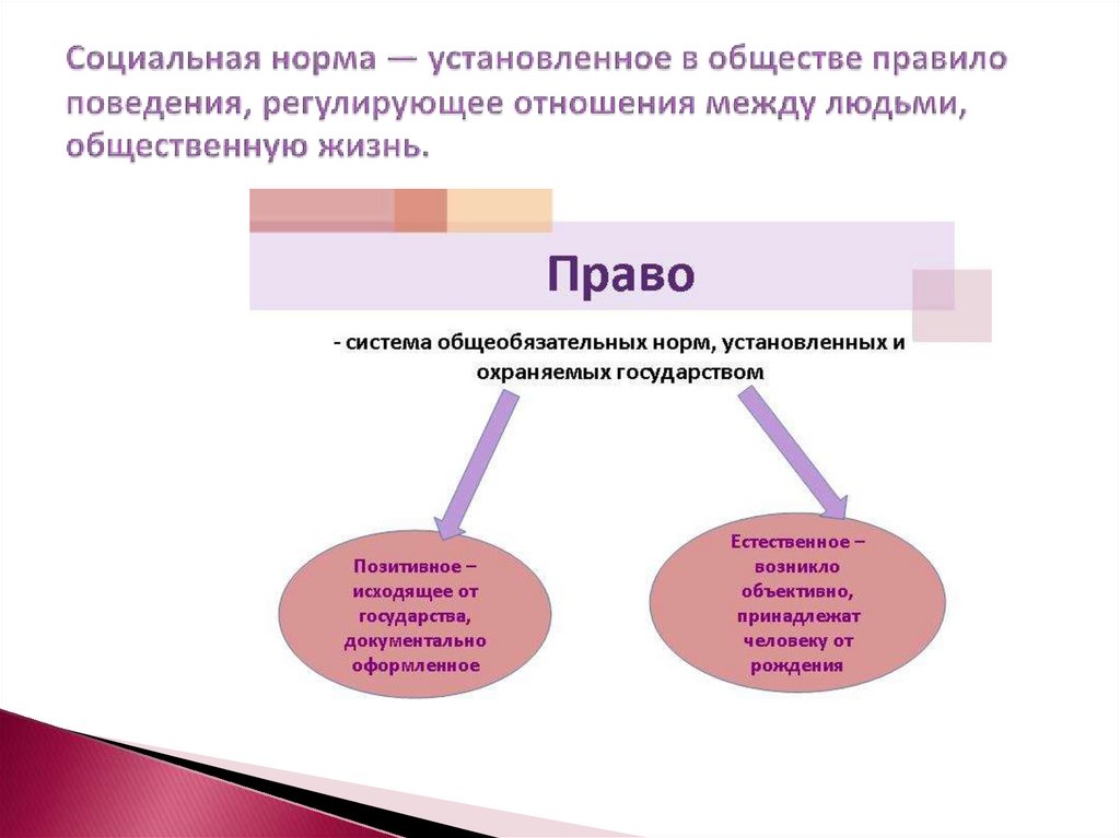 Установленные в обществе правила образцы ожидаемого поведения людей