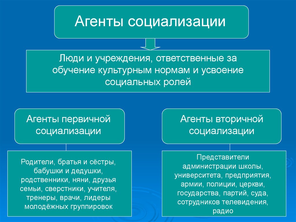 Составь схему агенты социализации указав какие социализации относятся к первичным какие к вторичным