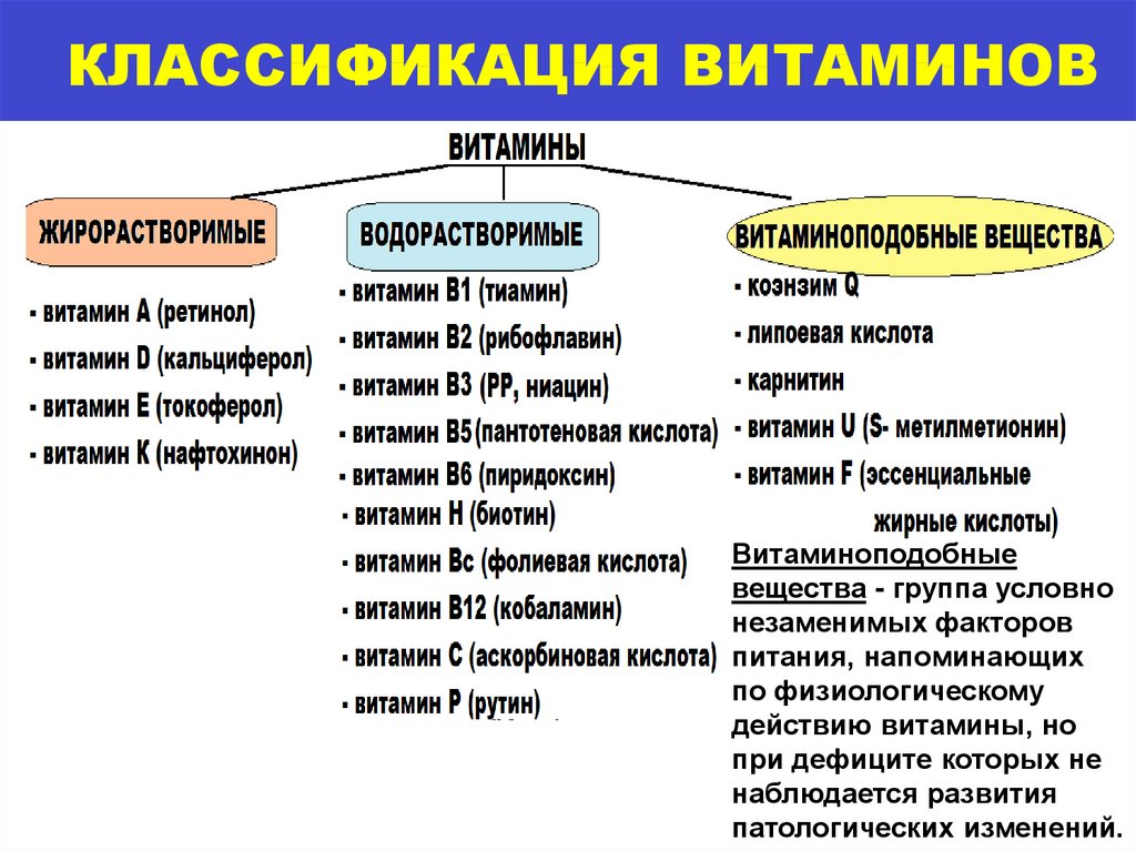 К жирорастворимым витаминам относятся. Водорастворимые и жирорастворимые витамины. Жирорастворимые витамины список. Водорастворимые и жирорастворимые витамины таблица. Группы витаминов водорастворимые и жирорастворимые.