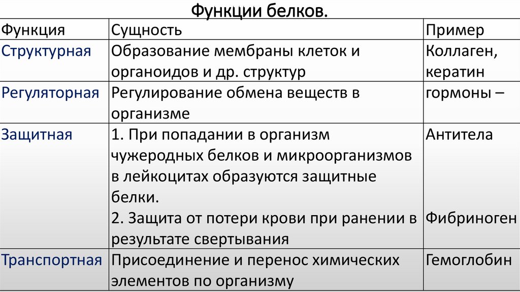 Какие функции выполняют белки. Функции белков биология 9 класс. Функции белков 5 класс биология. Биологические функции белков таблица. Структурная функция белков.