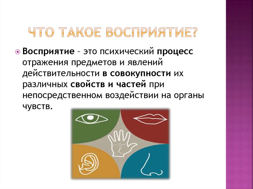 Восприятие не влияет на поведение человека поскольку искажает объективную картину мира