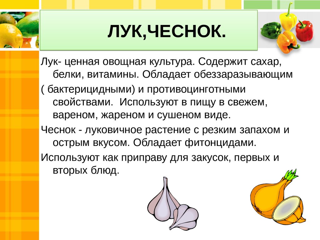 Овощ входящий в состав. Информация о чесноке. Сообщение о чесноке. Чеснок презентация. Доклад про чеснок.