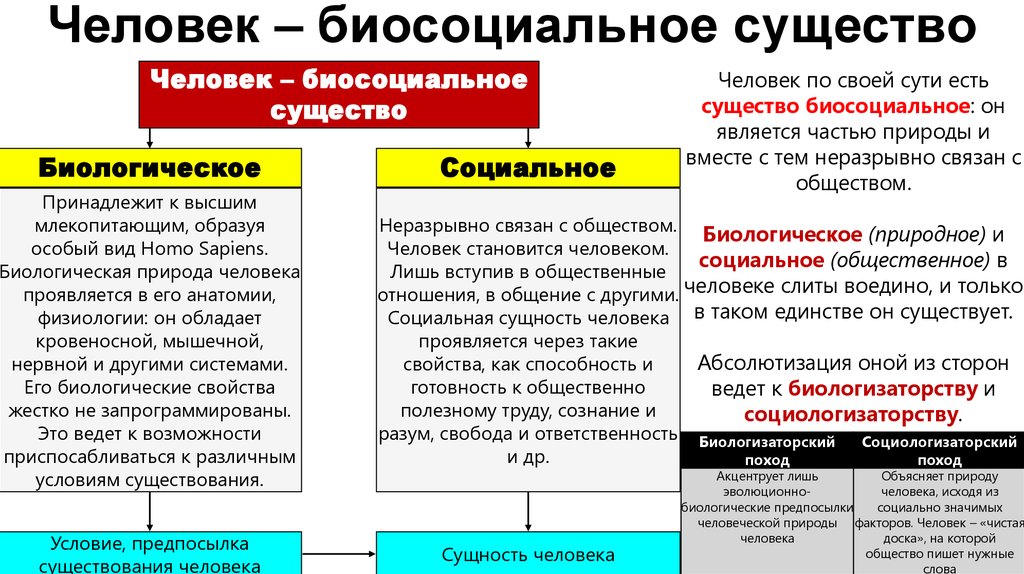 Сложный план природное и социальное в человеке