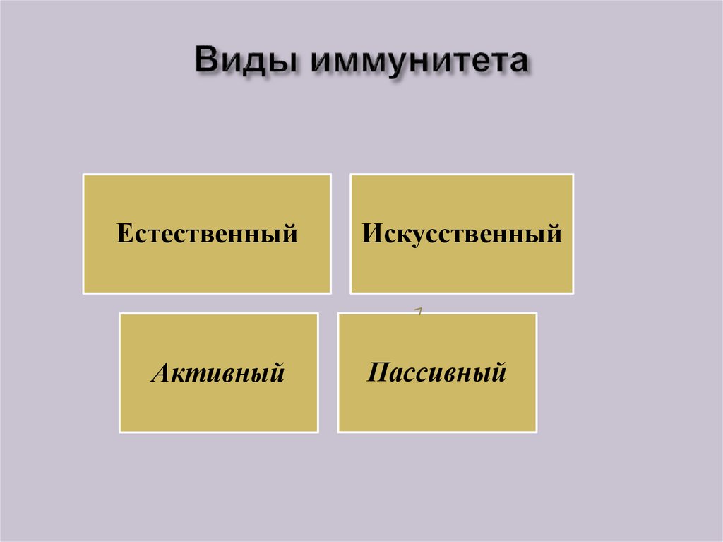 Естественный иммунитет. Виды естественного иммунитета. Формы иммунитета искусственный и естественный. Виды искусственного иммунитета. Естественный и искусственный иммунитет.