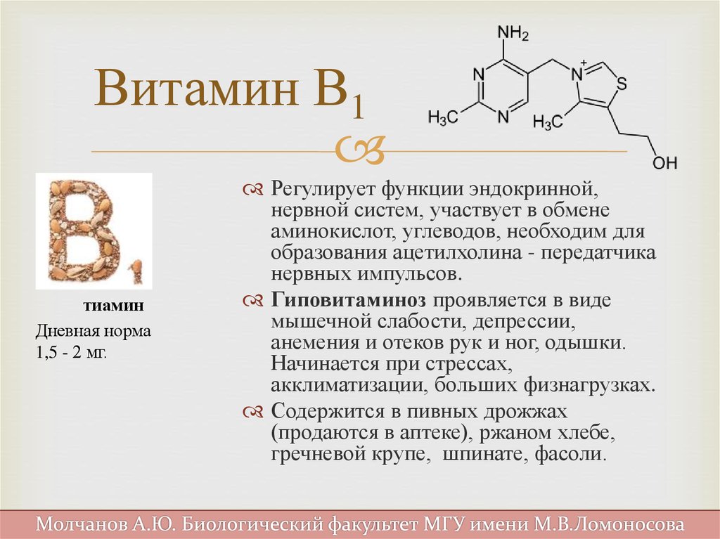 Витамин б описание. Витамин б1 формула химическая. Витамин b1 формула. Витамин в1 строение. Витамин в1 Синтез.