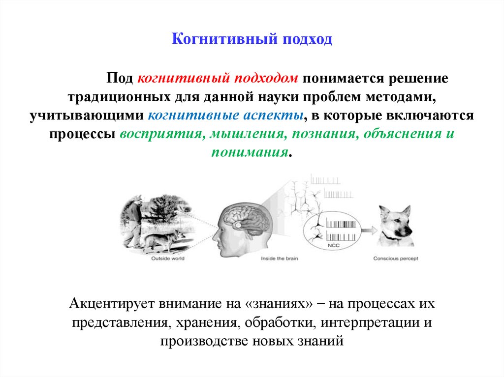 Когнитивный подход. Когнитивный подход в психологии. Когнитивный подход научно. Когнитивный подход подход в психологии. Когнитивистский подход в психологии.