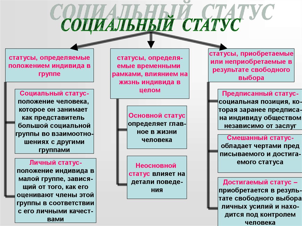 Социальный статус определенная позиция в социальной структуре группы или общества составьте план