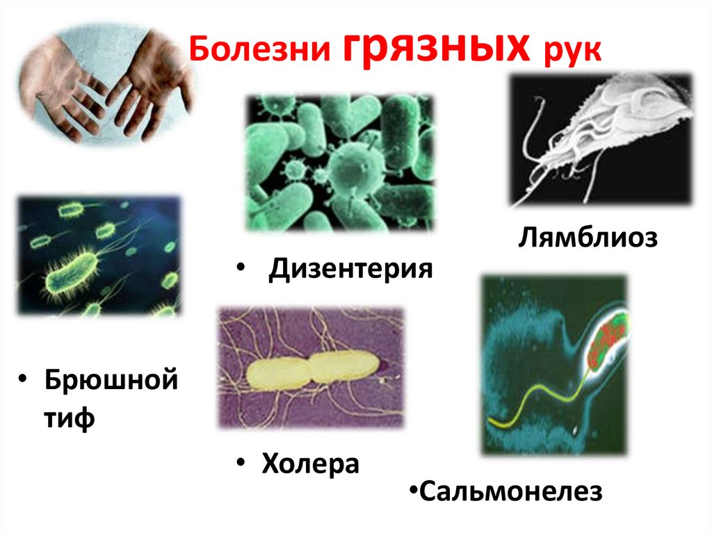 Бактерии примеры болезней. Дизентерия болезнь грязных рук. Беседа болезни грязных рук. Опасные бактерии.