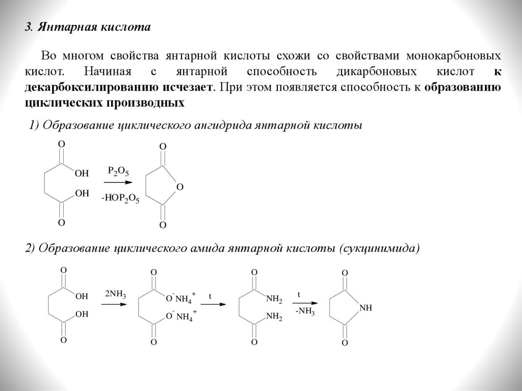 Янтарная кислота в продуктах