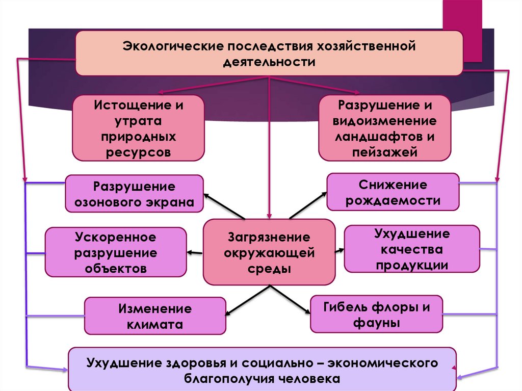 Последствия хозяйственной деятельности человека для окружающей среды презентация 9 класс