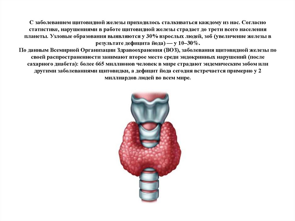 Узловые образования обеих долей щитовидной железы. Образование щитовидной железы. Многоузловое образование щитовидной железы. Работа щитовидной железы. Щитовидная железа множественные узловые образования.