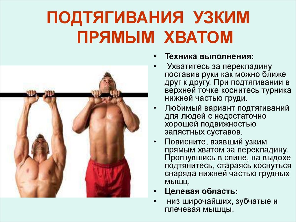 Какие мышцы работают при подтягивании на турнике обычным хватом показать на рисунках