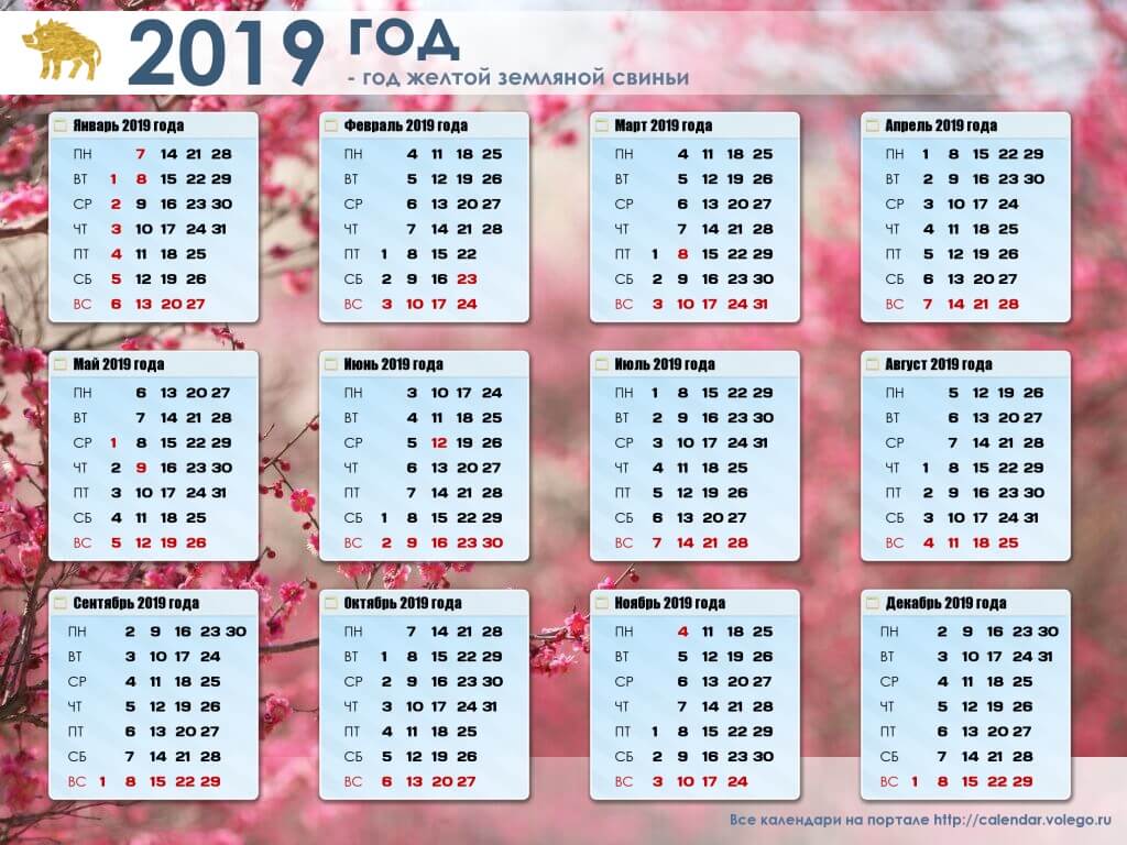 Сколько прошло с 1 февраля 2020 года. Календарь 2019 года. Календарь на 2019 год с праздниками и выходными. Производственный календарь на 2019 год с праздниками и выходными. Дней в году 2019.