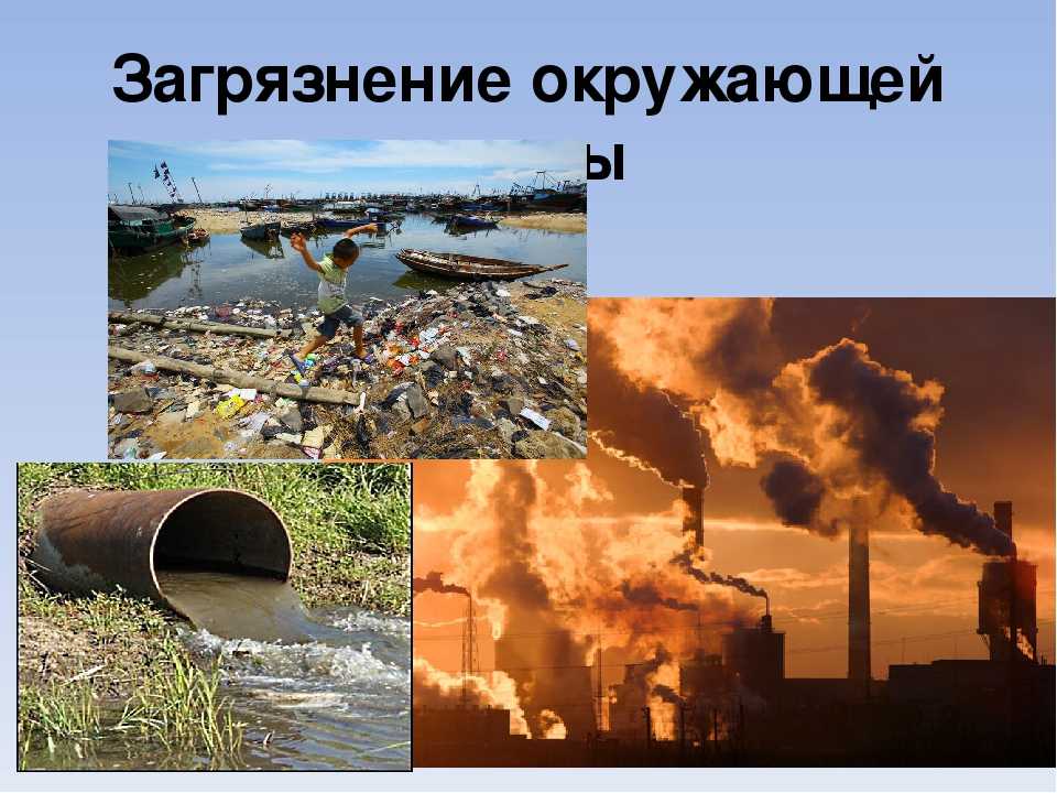 Примеры загрязнения экологии