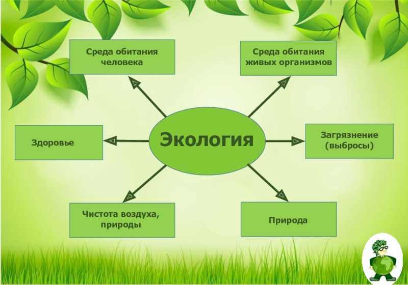 Презентация по географии 8 класс экология и здоровье человека