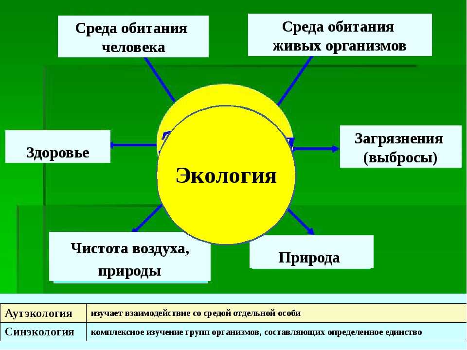 Проект по теме окружающая среда и здоровье человека