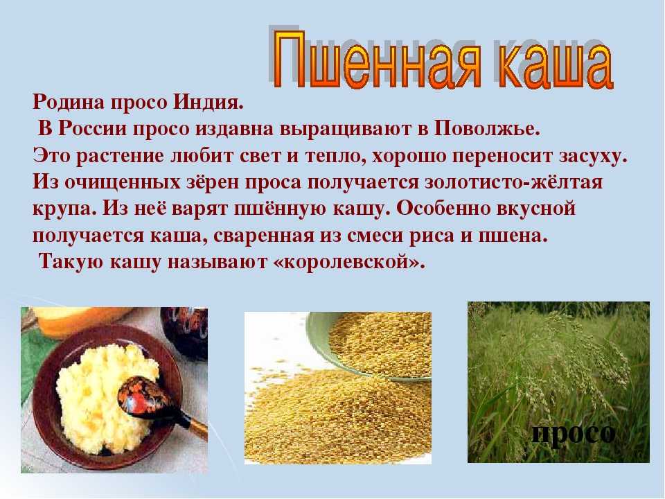 Культуры из которых варят кашу