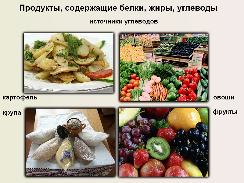 Продукты жиры углеводы. Продукты содержащие белки жиры и углеводы. Продукты не содержащие жиров. Белки и жиры в продуктах. Продукты содержащие белки и углеводы.