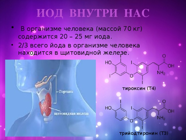 Щитовидная железа йод фтор. Йод в организме человека. Йод нахождение в организме. Роль йода в организме человека. Биохимическая роль йода в организме человека.