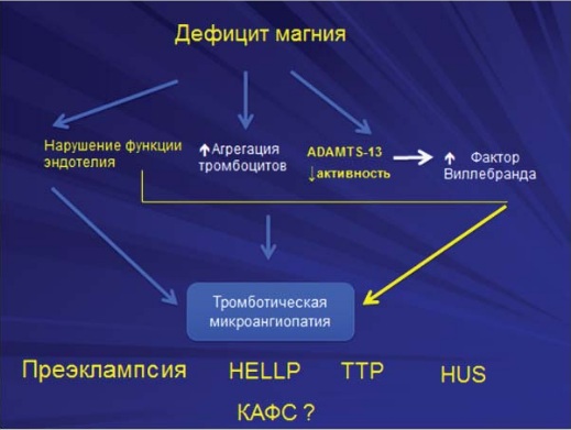 Симптомы дефицита магния. Дефицит магния. Нехватка магния симптомы у мужчин. Схемы лечения Акушерство и гинекология. Дефицит магния симптомы у мужчин.